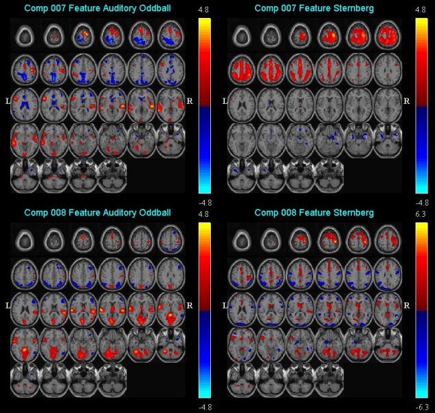 fMRI-fMRI fusion ...